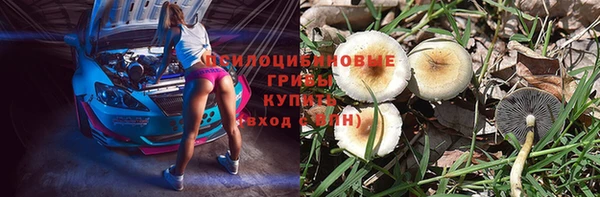 хмурый Осташков