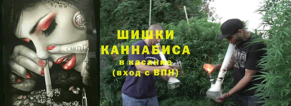 jwh Гатчина